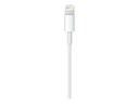 Apple Lightning Cable - Lightning/USB-C - 1m