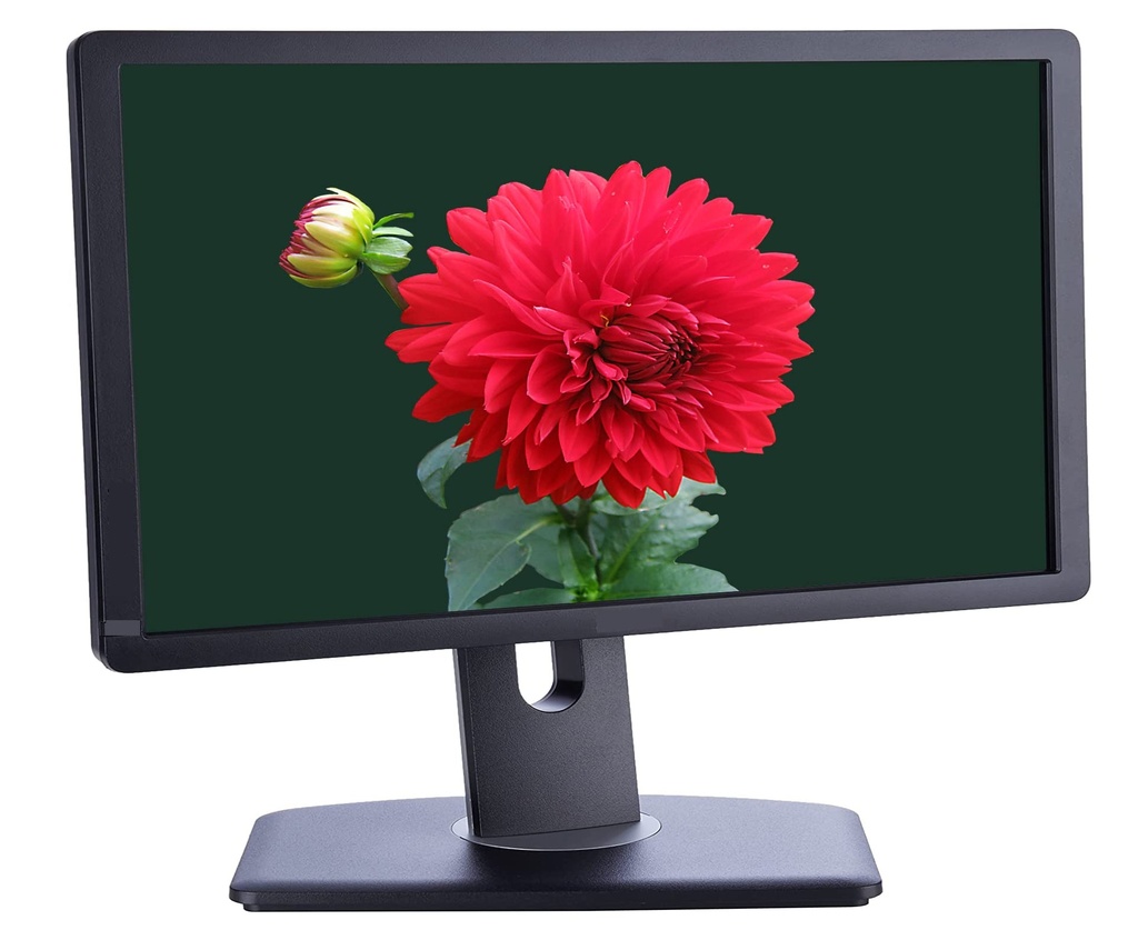 Dell P1913T 22-inch LCD WXGA+ Monitor