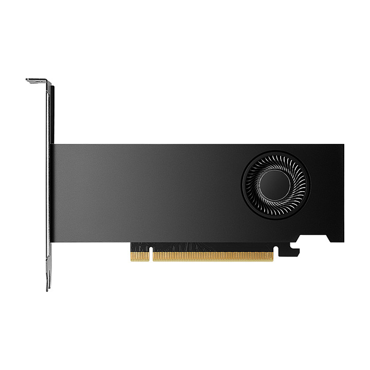 NVIDIA - graphics card - NVIDIA RTX 2000 Ada - 16 GB · VCNRTX2000ADA-PB