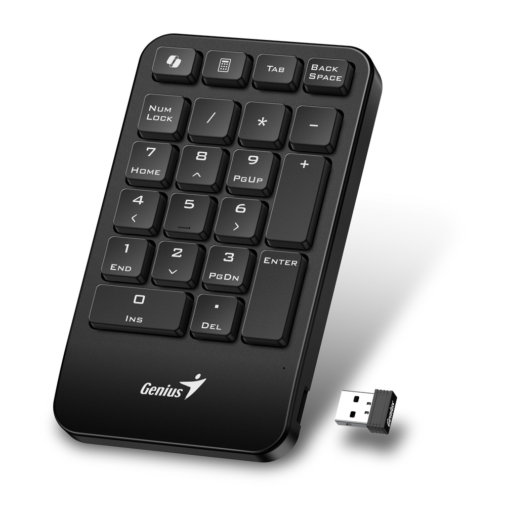 Genius Keyboard Numeric Pad Wireless AI w/Palm Rest NumPad 1000