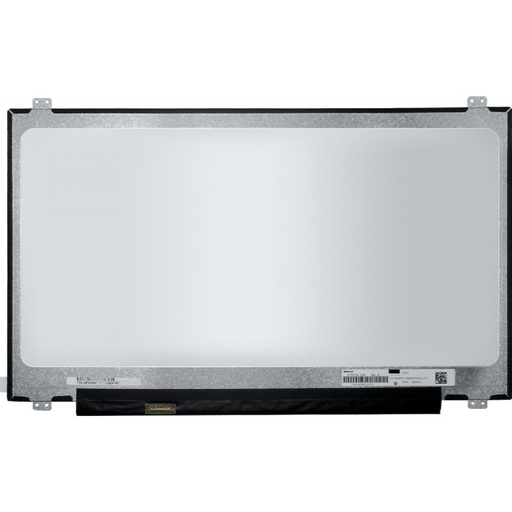 Laptop Screen Panel 17.3-Inch - HD+ (1600x900) - 30 Pin