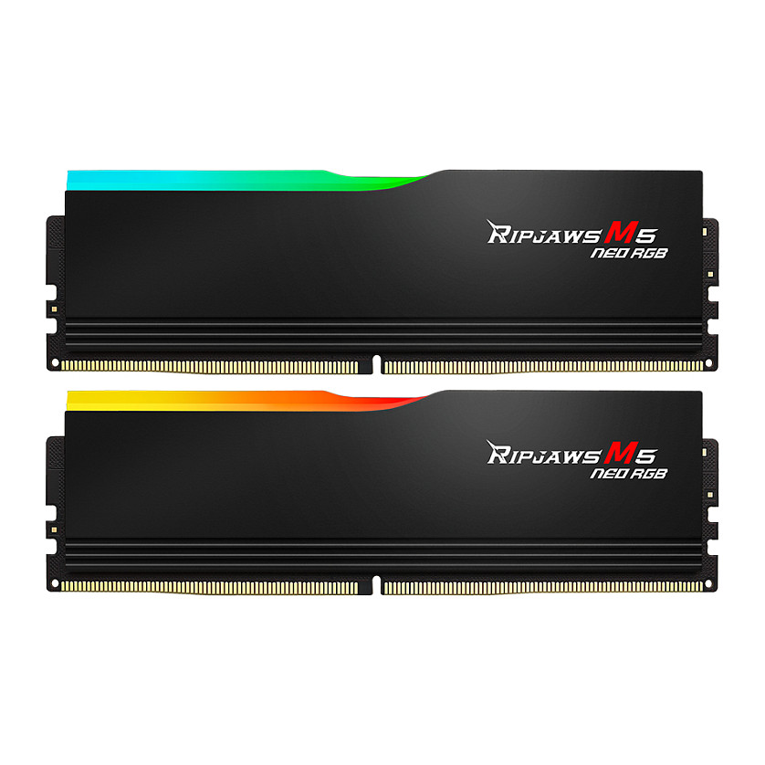 64GB G.Skill DIMM 6000 (2x 32 GB) Dual-Kit · F5-6000J3636F32GX2-RM5NRK