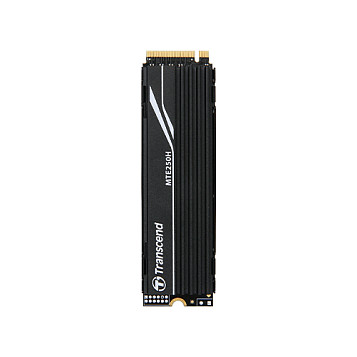 Transcend 3D with Dram Metal 1TB M.2 NVMe - TS1TMTE250H