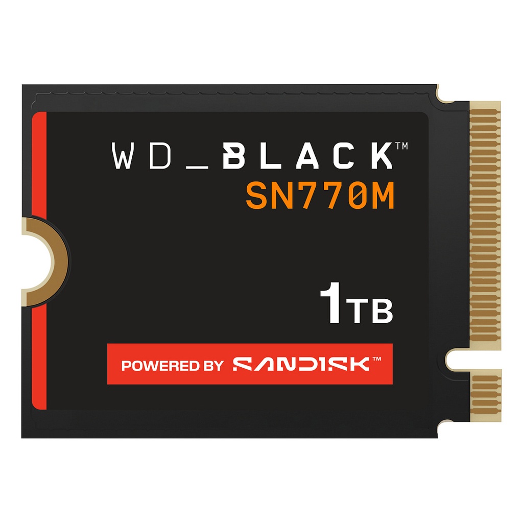 WD Western Digital 2230 4.0 SN770M - WDS100T3X -00CHY0 - WDS100T3X -00CHY0 - WDS100T3X -00CHY0 1TB M.2 - WDS100T3X0G-00CHY0