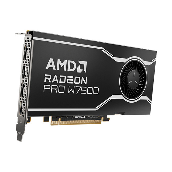 AMD Radeon Pro W7500 8GB GDDR6 - 100-300000078