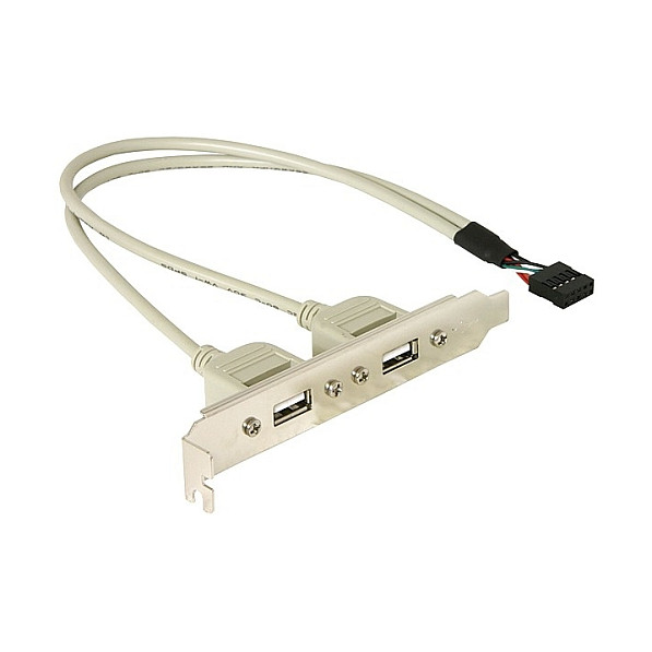 DeLOCK Slotblech USB 2.0 2xPort - 71000