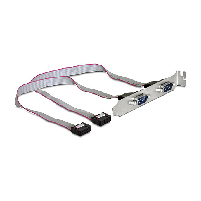 DeLOCK Slotblech Seriell 2xPort - 89268