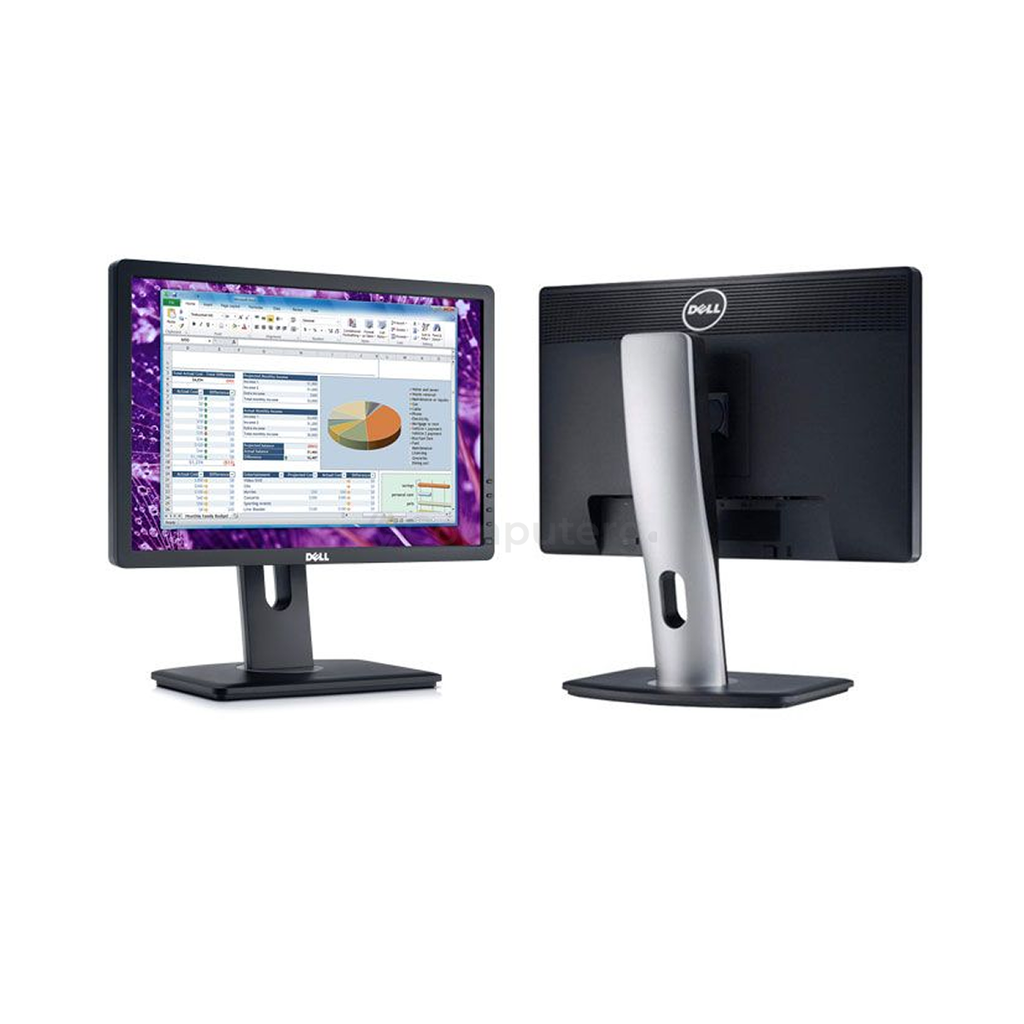Dell P1913b LED 19-inch WXGA+ Monitor