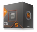 AMD Ryzen 5 8600G AM5 - 100-100001237BOX