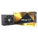 Sea Sonic Seasonic FOCUS GX-750 750W 80+ Gold