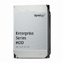 Synology 12TB - HAS5310-12T